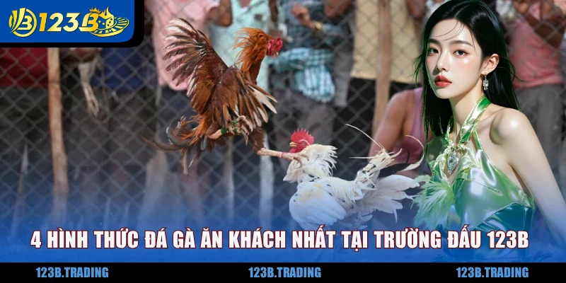 4 hình thức đá gà ăn khách nhất tại trường đấu 123B