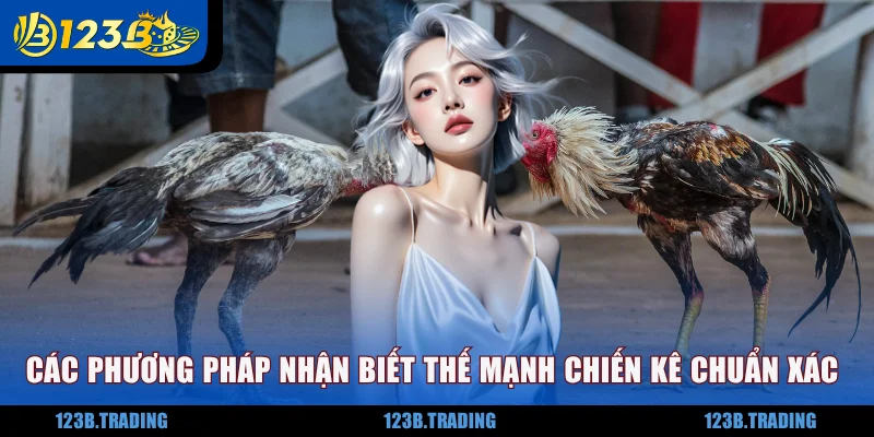 Các phương pháp nhận biết thế mạnh chiến kê một cách chuẩn xác